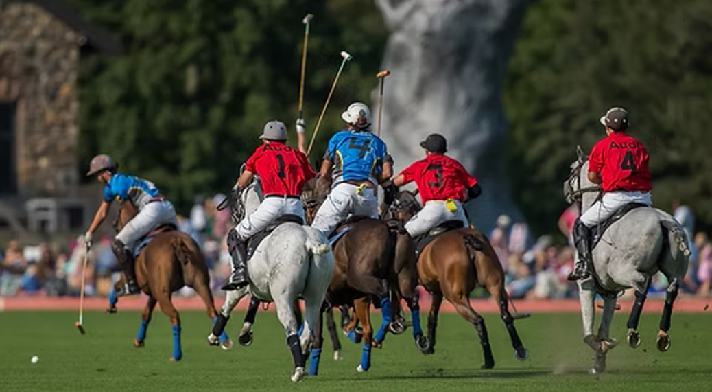 Greenwich Polo